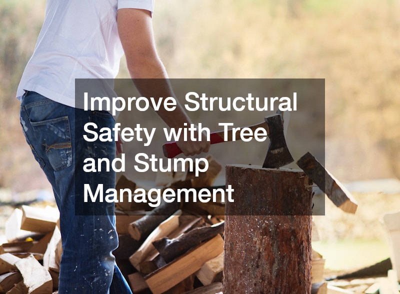 Improve Structural Safety with Tree and Stump Management
