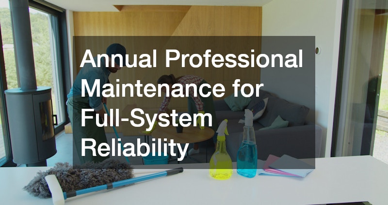 Annual Professional Maintenance for Full-System Reliability