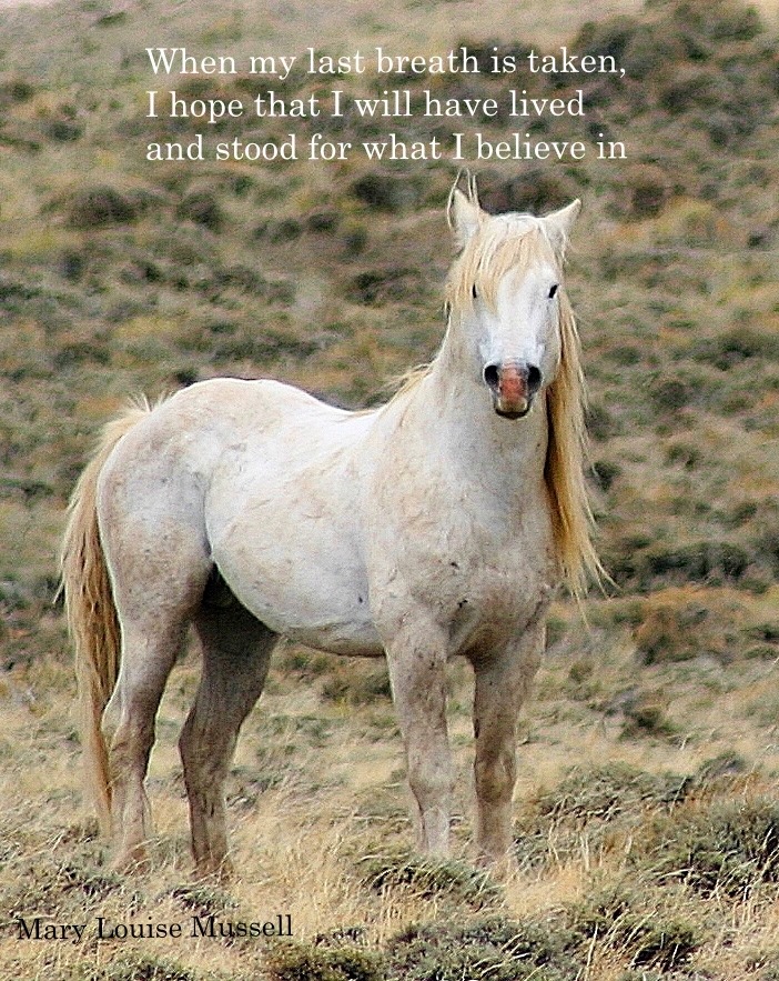 horseposter Yawar Baig & Associates