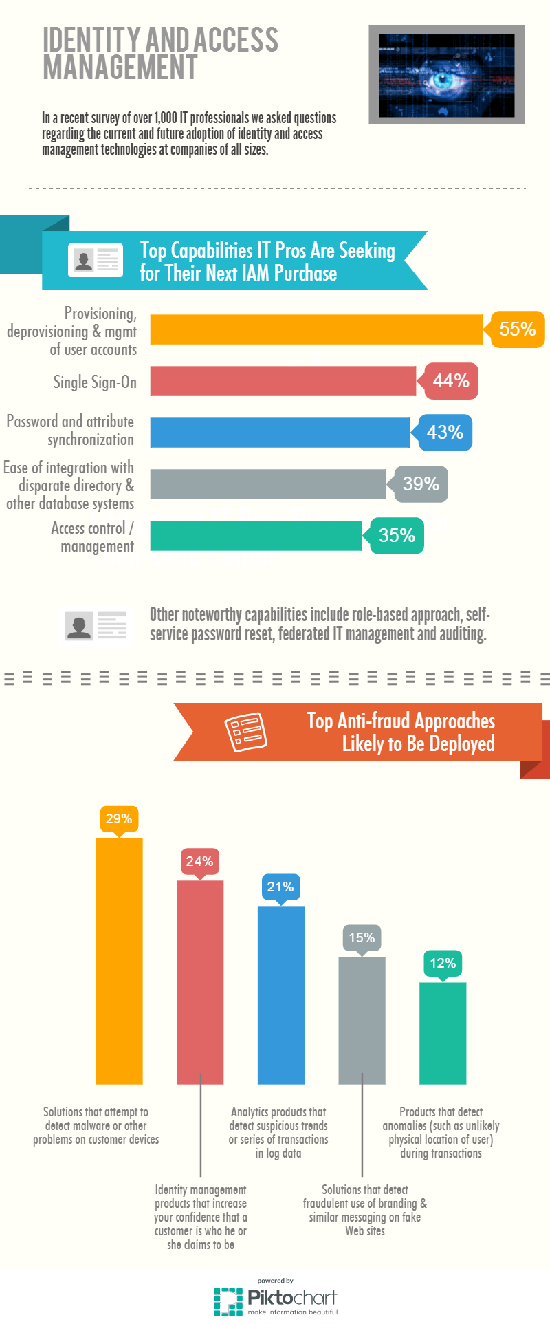 IAM Infographic