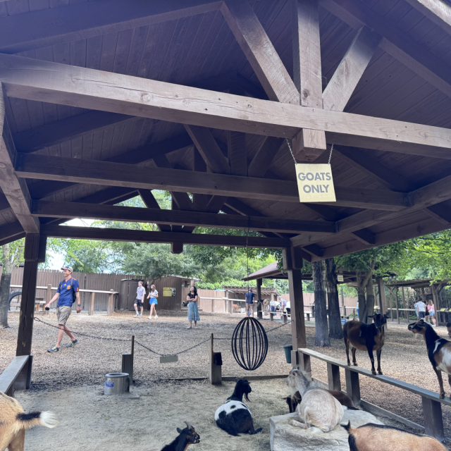 A pavilion labeled “GOATS ONLY” with the expected goats underneath it.