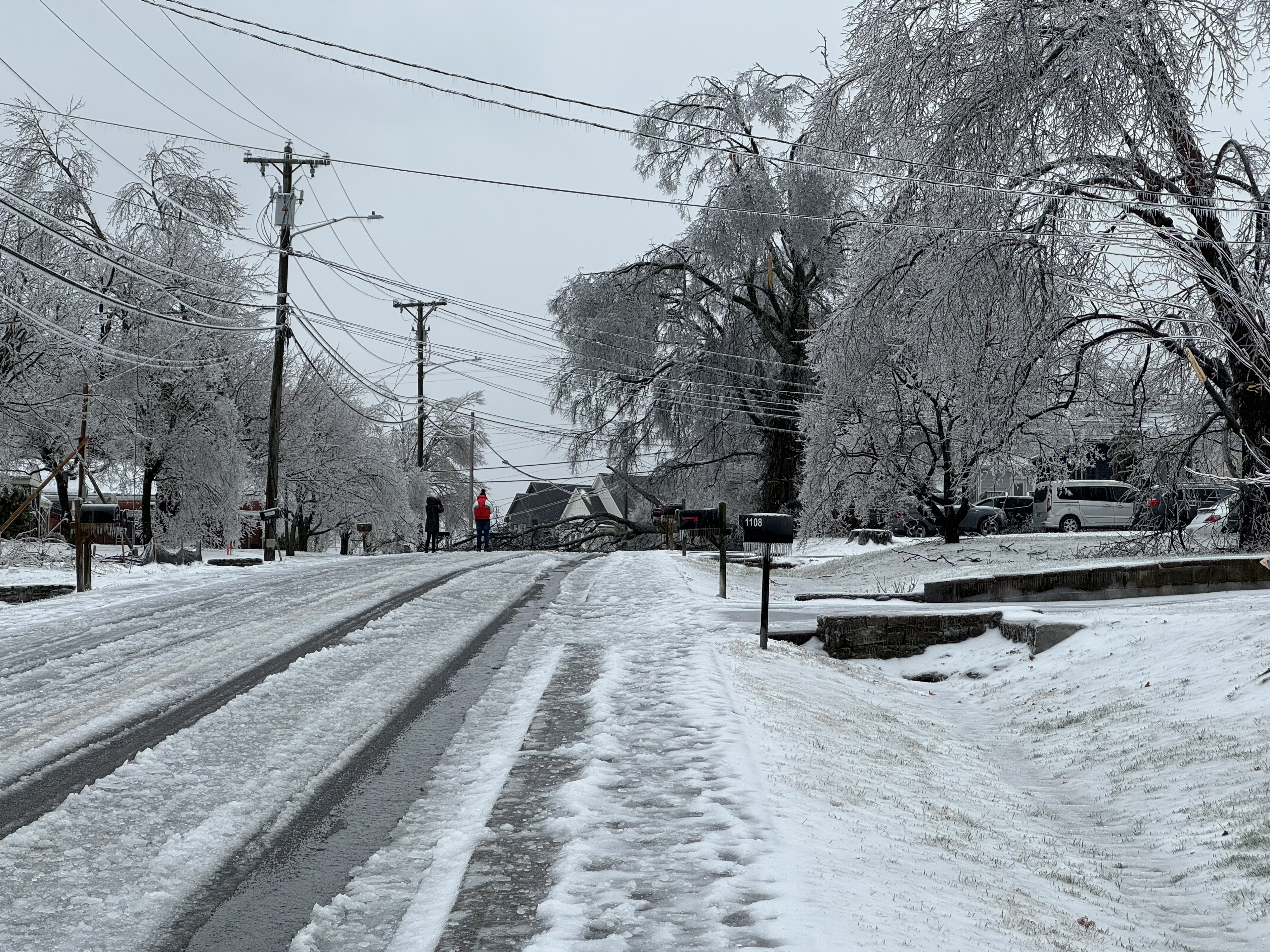 A tree knocked down across a road during an ice storm. Two people are in the road taking a picture. The ground and road are covered in ice, as are most of the visible trees and bushes.