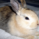 Mon bébé !