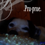 Prunelle ♥