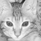 Une photo de moi, il y a quelques mois :))
