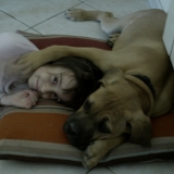 un ptit calin ;))))