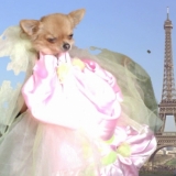 Paris = princesse