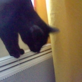 Ah eh oh ça brûle le radiateur