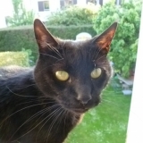 Berlioz