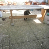 tiens!?! un banc...