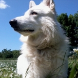 Photo de ma Promenade :D