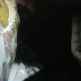 On dort bien dans le lit