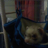 cachou