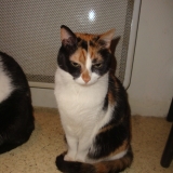 elle est belle ............