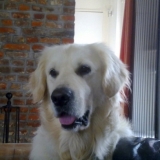 Voilà ma bouille