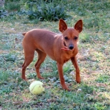 Dans le jardin