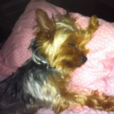 So comfy!!!