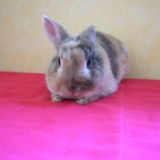 une bonnne sieste