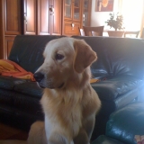 chuncky