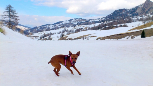 Au coucher du Soleil