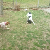Daisy et Enox