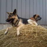 avec hunty !