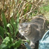 enfin le jardin
