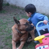 moi et mon petit maître