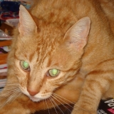J'adore mes yeux !
