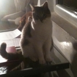 Moi hier ^^
