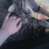 Câlin avec maman ♥