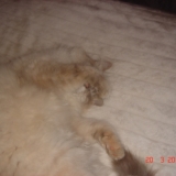 fatiguée!!!