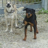 mes parents &hearts; &hearts; &hearts;
