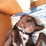 Dans une autre position