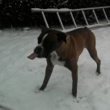 L'hiver dernier :)