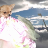 aaaa dans les nuages 