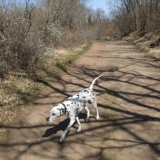 promenade