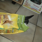 Repas