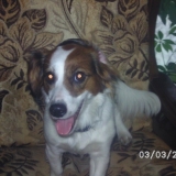 Moi ;P