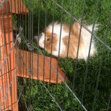 Max dans son parck