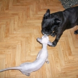 premier bisou!!!!