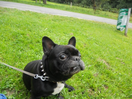 Au coucher du Soleil