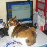 En pleine concentration !