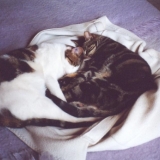grosse sieste