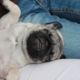zzzzzz