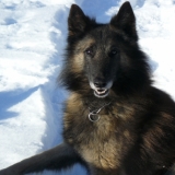 Ulysse