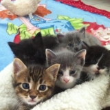 Quelles bouilles !!