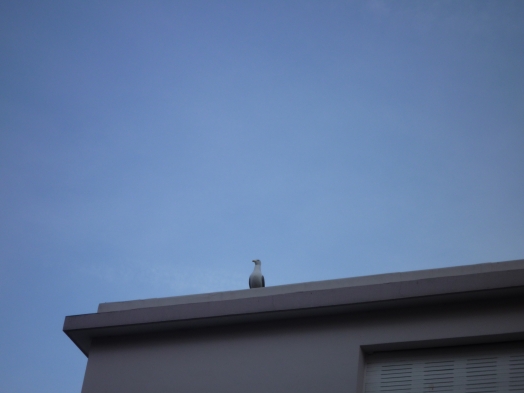 Au coucher du Soleil