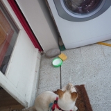 C'est quoi ce truc qui tourne??