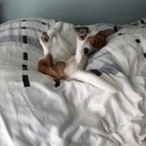 dans mon lit